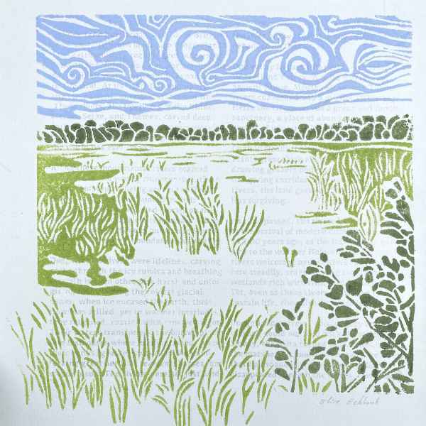 River AiM book collection 02